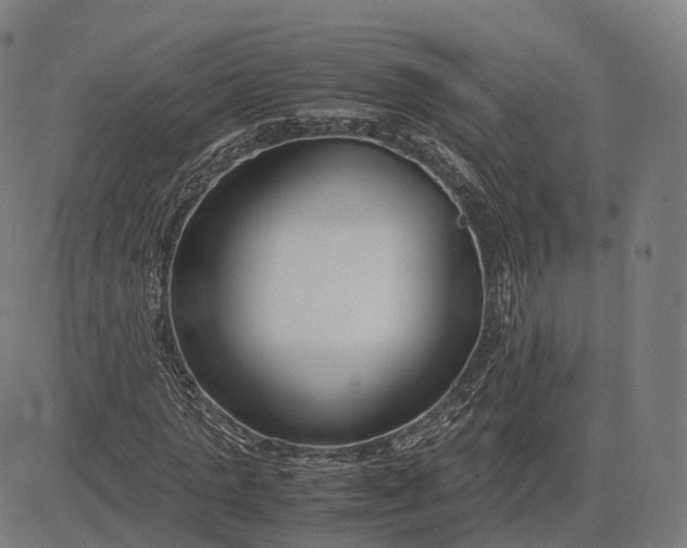 X0000083060821200702161754