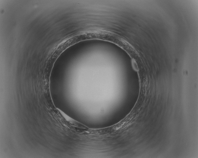 X0000083060822200702161754