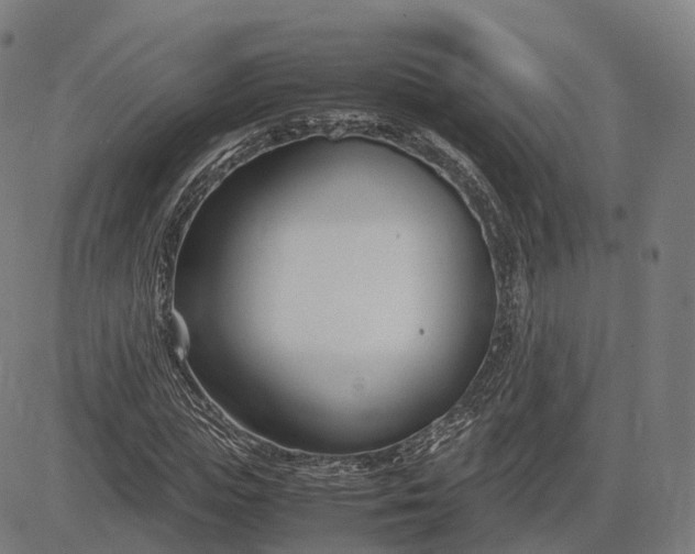 X0000083060823200702161754