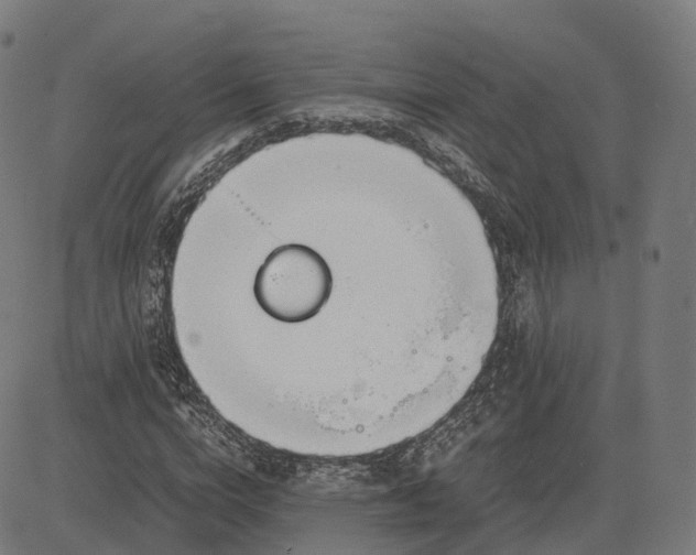 X0000083060824200702161754