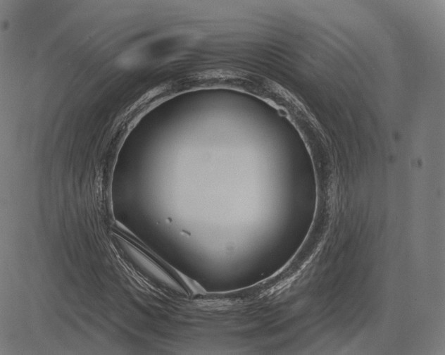 X0000083060825200702161754