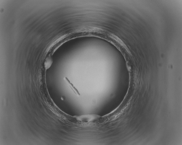 X0000083060826200702161754