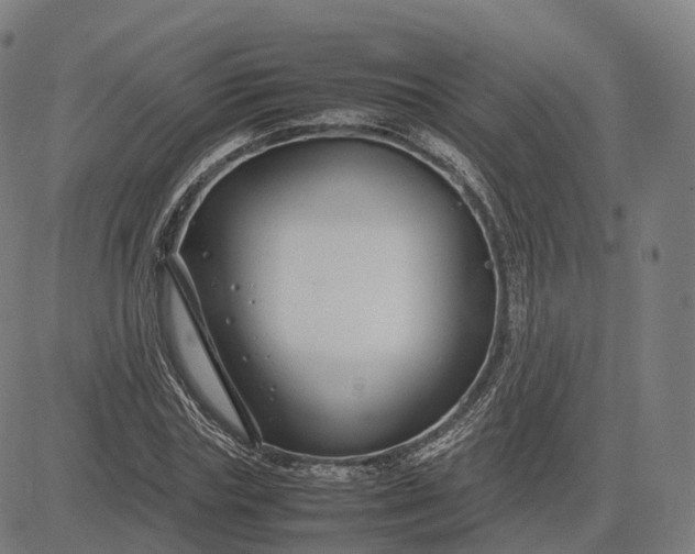 X0000083060827200702161754