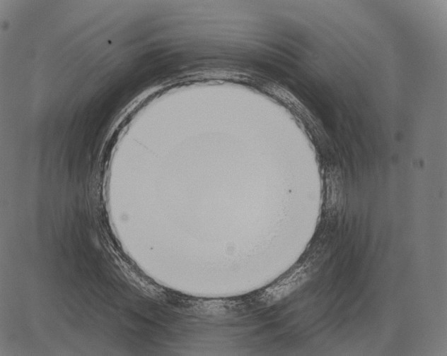 X0000083060828200702161754