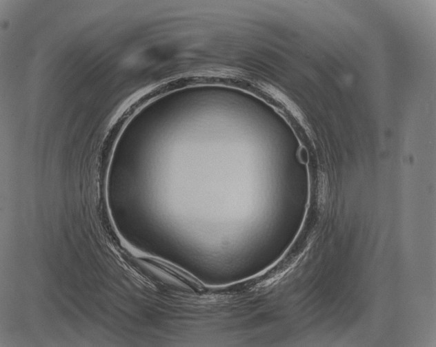 X0000083060829200702161754