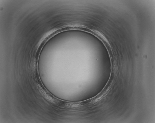 X0000083060831200702161754