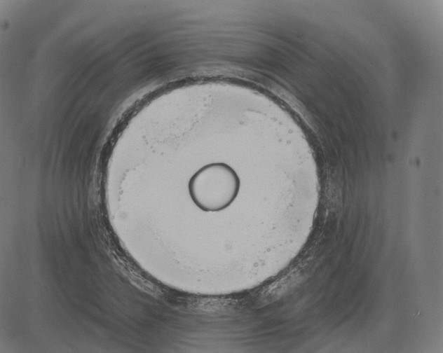 X0000083060832200702161754