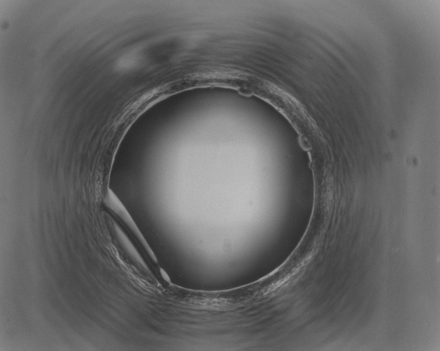 X0000083060833200702161754