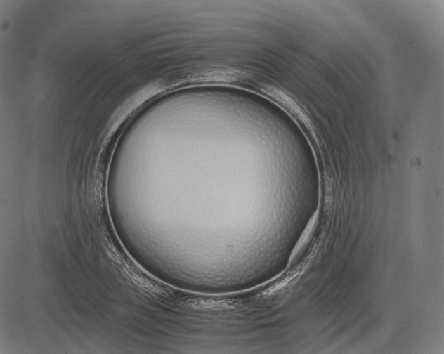 X0000083060835200702161754