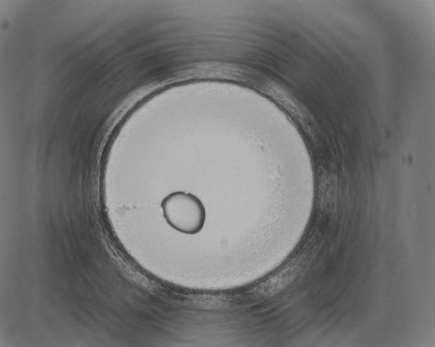 X0000083060836200702161754