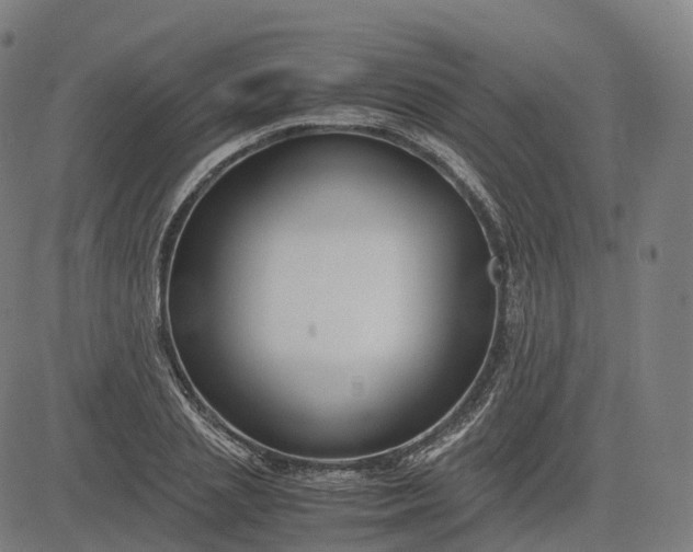 X0000083060837200702161754