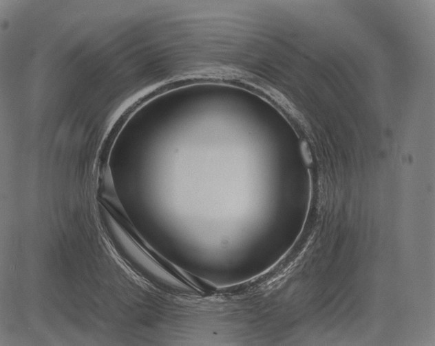 X0000083060838200702161754