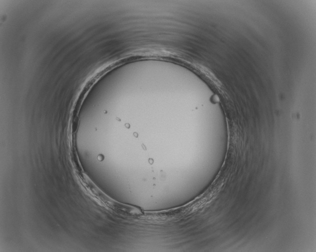 X0000083060840200702161754