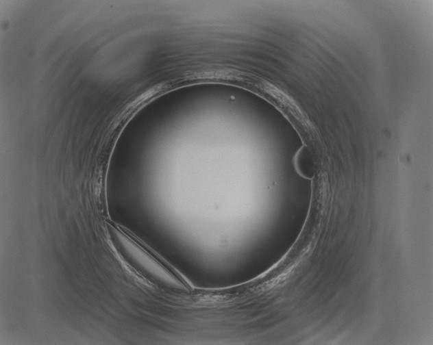 X0000083060841200702161754