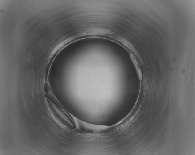 X0000083060842200702161754