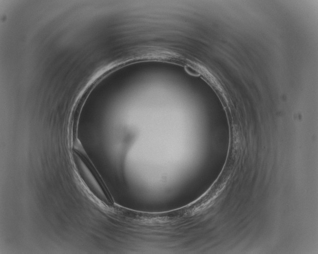 X0000083060843200702161754