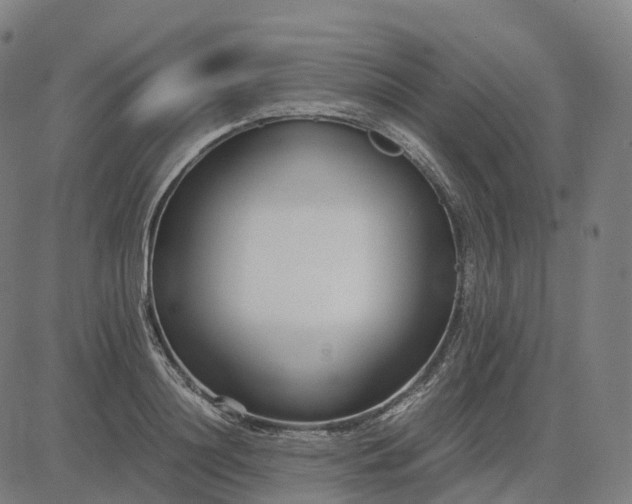 X0000083060844200702161754