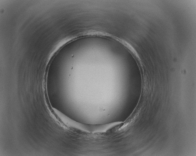 X0000083060847200702161754