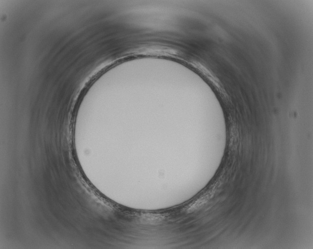 X0000083060848200702161754