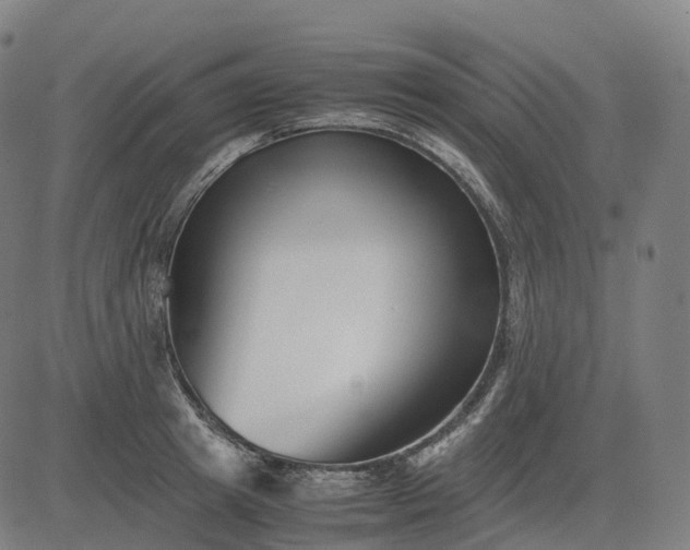 X0000083060849200702161754