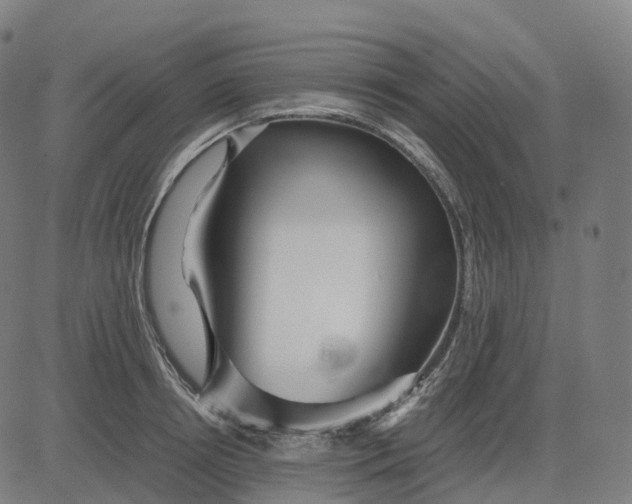 X0000083060850200702161755