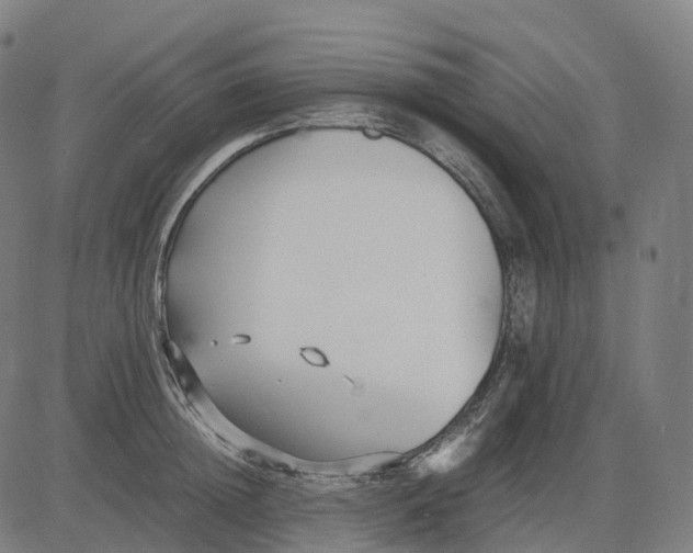 X0000083060852200702161755