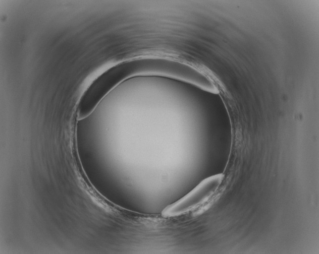 X0000083060854200702161755