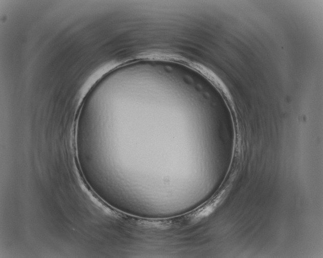 X0000083060855200702161755