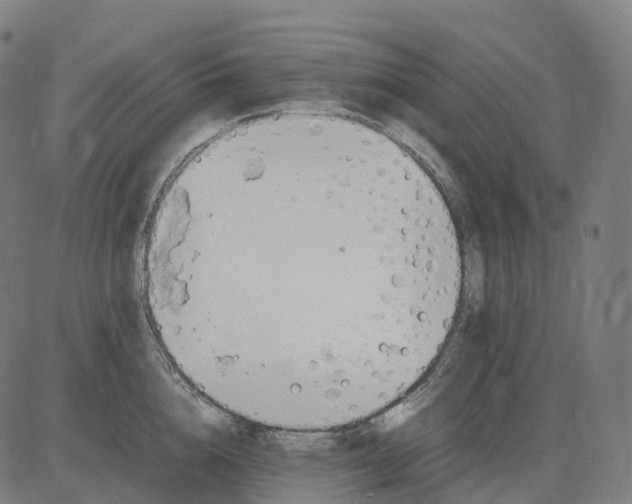 X0000083060856200702161755