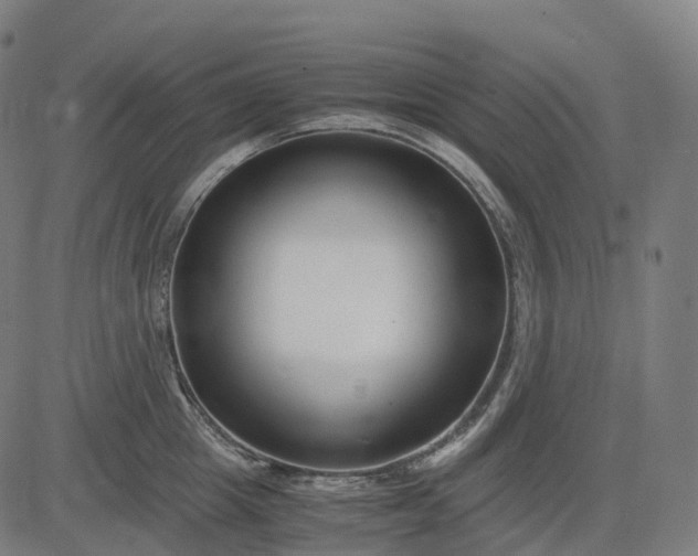 X0000083060857200702161755