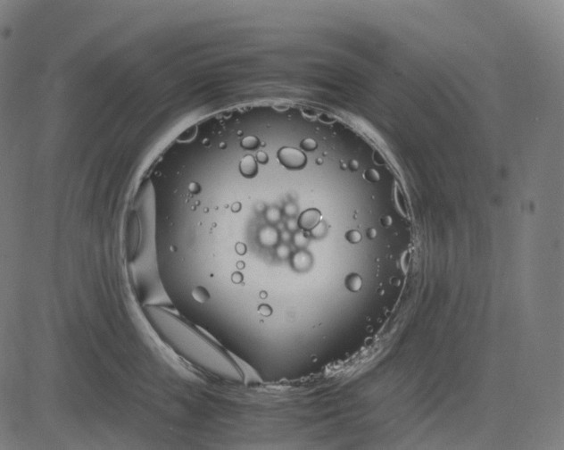 X0000083060859200702161755