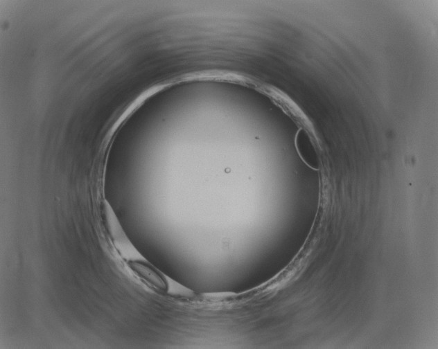 X0000083060860200702161755