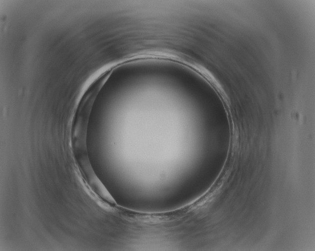 X0000083060862200702161755