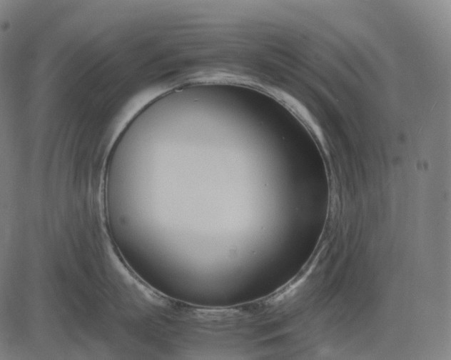 X0000083060863200702161755