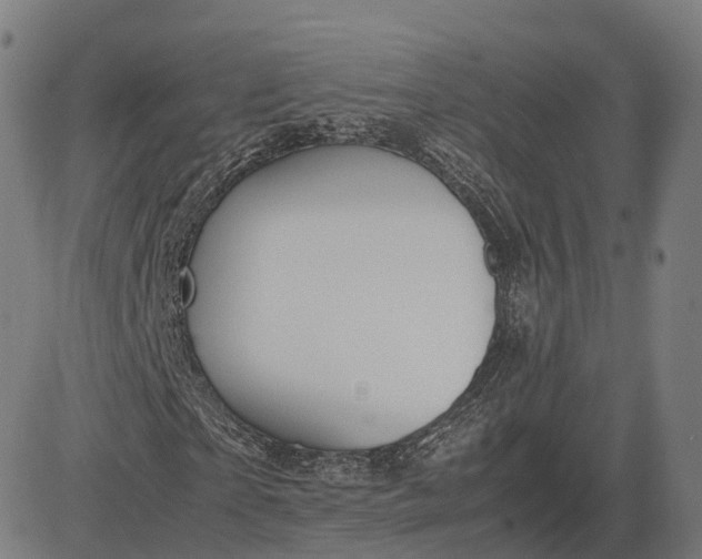 X0000083060865200702161754