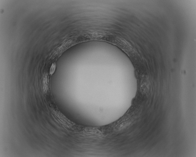 X0000083060866200702161754