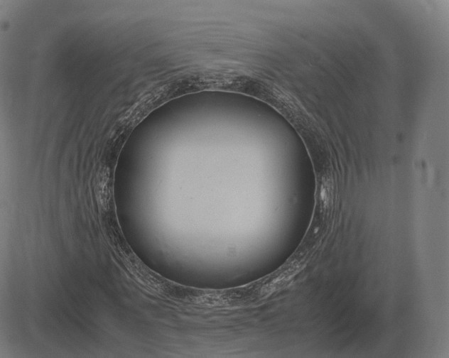 X0000083060867200702161754