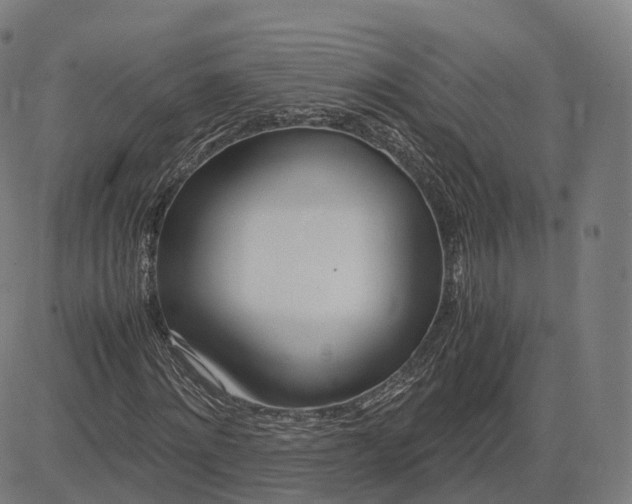 X0000083060868200702161754