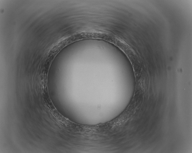 X0000083060870200702161754