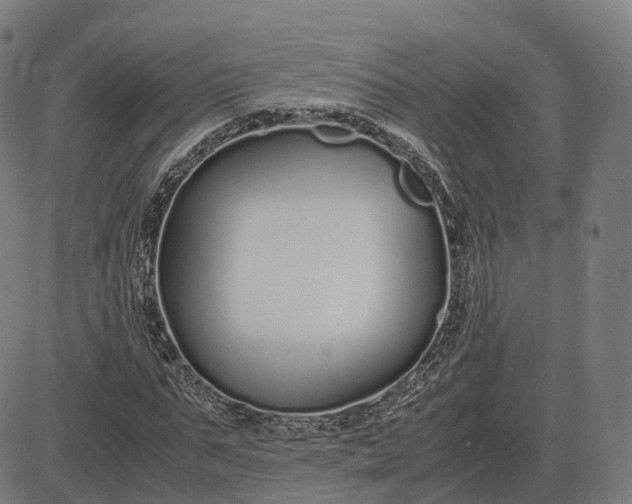 X0000083060871200702161754