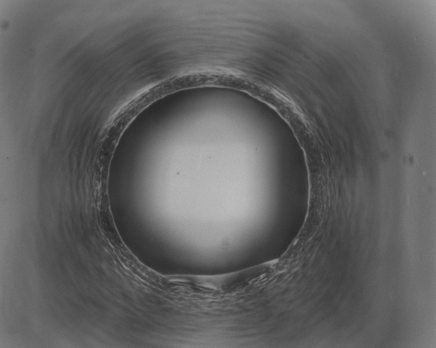 X0000083060872200702161754