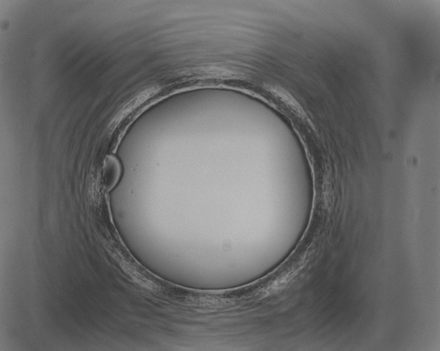 X0000083060873200702161754