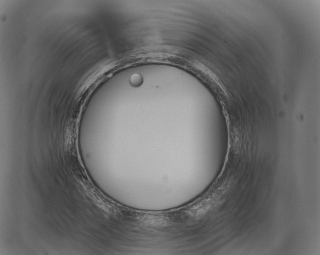 X0000083060874200702161754