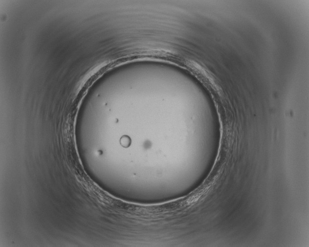 X0000083060875200702161754