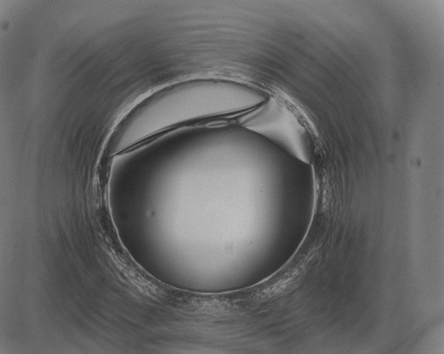 X0000083060876200702161754