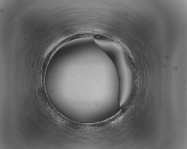 X0000083060877200702161754