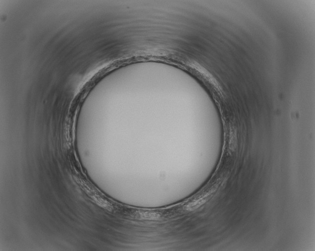 X0000083060878200702161754