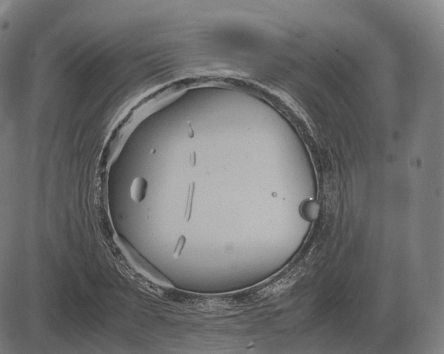 X0000083060879200702161754