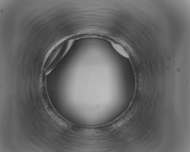 X0000083060880200702161754