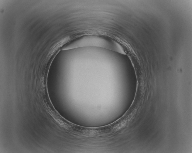 X0000083060881200702161754